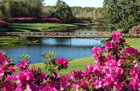 Small river with bridge surrounded by nicely cut grass, trees, and bushes with bright pink flowers