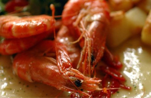 Close up view of cooked shrimp with tails and heads on top of a cream sauce